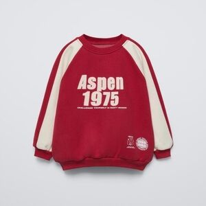 Zara | Aspen Red Knit Crewneck